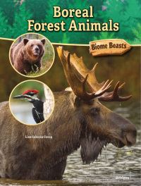 Book Cover for Boreal Forest Animals by Lisa Colozza Cocca