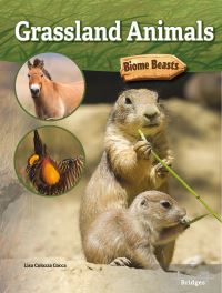 Book Cover for Grassland Animals by Lisa Colozza Cocca