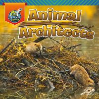 Book Cover for Animal Architects by Lisa Amstutz