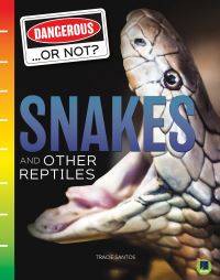 Book Cover for Snakes and Other Reptiles by Tracie Santos