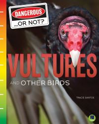 Book Cover for Vultures and Other Birds by Tracie Santos