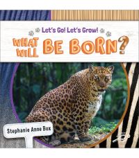 Book Cover for What Will Be Born? by Stephanie Anne Box