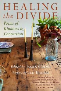 Book Cover for Healing the Divide by James Crews