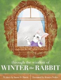 Book Cover for Through the Window of Winter the Rabbit by Janea D Harris