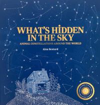 Book Cover for What's Hidden in the Sky by Aina Bestard