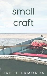 Book Cover for Small Craft by Janet Edmonds
