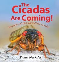 Book Cover for The Cicadas Are Coming! by Doug Wechsler