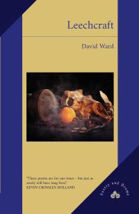 Book Cover for Leechcraft by David Ward