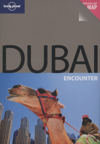 Book Cover for Dubai by Olivia Pozzan, Lara Dunston, Terry Carter