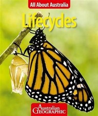Book Cover for Lifecycles by Jess Teideman