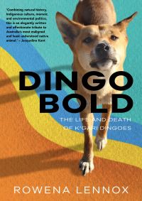 Book Cover for Dingo Bold by Rowena Lennox