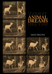 Book Cover for Animal Dreams by David Brooks