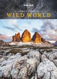 Book Cover for Wild World by 