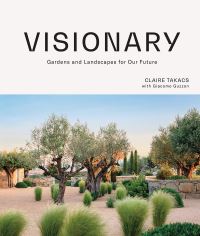 Book Cover for Visionary by Claire Takacs, Giacomo Guzzon