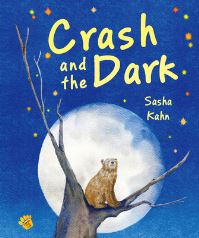 Book Cover for Crash and the Dark by Sasha Kahn