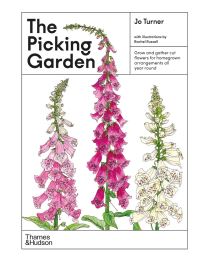 Book Cover for The Picking Garden by Jo Turner