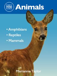 Book Cover for Reed Mini Guide: Animals by Marianne Taylor