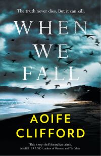 Book Cover for When We Fall by Aoife Clifford