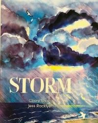 Book Cover for Storm by Claire Saxby