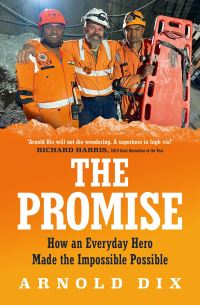 Book Cover for The Promise by Arnold Dix
