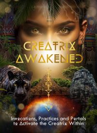 Book Cover for Creatrix Awakened Journal by Shannon Van Den Berg