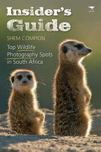Book Cover for Insider's Guide by Shem Compion