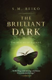 Book Cover for The Brilliant Dark by S M Beiko