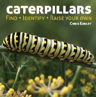 Book Cover for Caterpillars by Chris G Earley