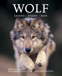 Book Cover for Wolf by Rebecca L Grambo