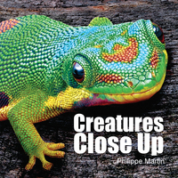 Book Cover for Creatures Close Up by Gillian Watts