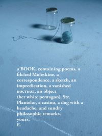 Book Cover for The Unmemntioable by Erín Moure