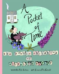 Book Cover for A Pocket of Time by Rita Wilson