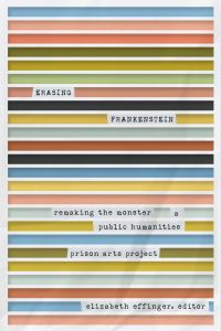 Book Cover for Erasing Frankenstein by Elizabeth Effinger