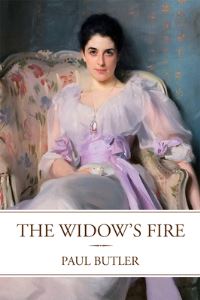 Book Cover for The Widow's Fire by Paul Butler
