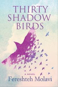 Book Cover for Thirty Shadow Birds by Fereshteh Molavi