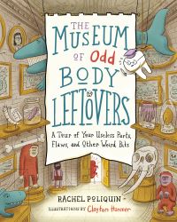 Book Cover for The Museum of Odd Body Leftovers by Rachel Poliquin