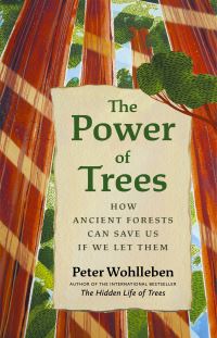 Book Cover for The Power of Trees by Peter Wohlleben, David Suzuki Institute