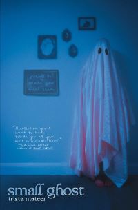 Book Cover for Small Ghost by Trista Mateer
