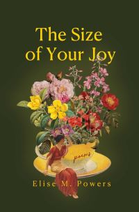 Book Cover for Size of Your Joy by Elise Powers