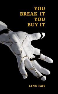 Book Cover for You Break It You Buy It by Lynn Tait
