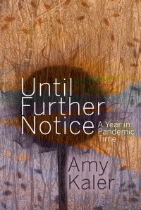 Book Cover for Until Further Notice by Amy Kaler