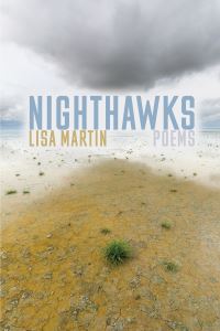 Book Cover for Nighthawks by Lisa Martin