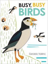 Book Cover for Busy, Busy Birds by Geraldo Valério