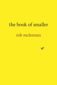 Book Cover for The Book of Smaller by Rob McLennan