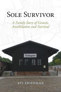 Book Cover for Sole Survivor by Avi Friedman