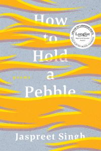 Book Cover for How to Hold a Pebble by Jaspreet Singh