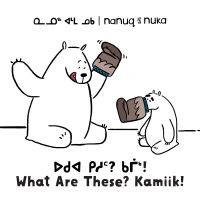 Book Cover for Nanuq and Nuka: What Are These? Kamiik! by Ali Hinch