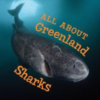 Book Cover for All About Greenland Sharks by Jordan Hoffman