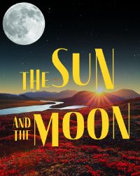Book Cover for The Arctic Sky by Carolyn MacDonald