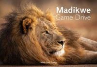 Book Cover for Madikwe Game Drive by Philip van den Berg, Ingrid van den Berg, Heinrich Van Den Berg